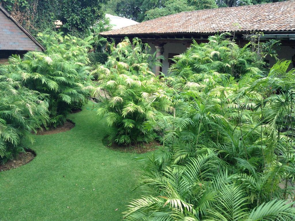 Отель Hacienda San Pedro Uruapan  Экстерьер фото